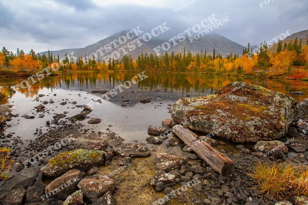 На фотографии изображено озеро с каменистым берегом в окружении осеннего леса и гор Хибин. Большие валуны и древесные стволы на переднем плане добавляют текстуры пейзажу. Отражение деревьев в воде подчёркивает гармонию природы и спокойствие северного ландшафта.